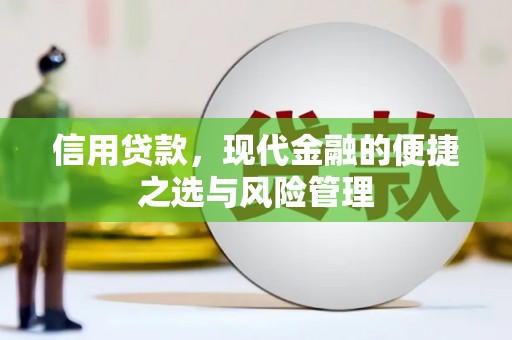 长葛信用贷款，现代金融的便捷之选与风险管理