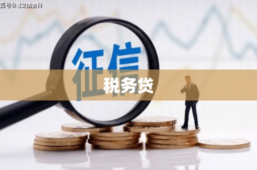 吴桥税务贷