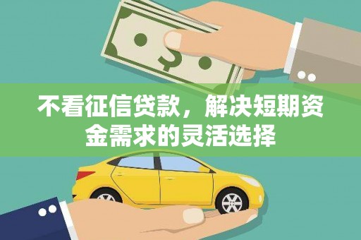 甘孜不看征信贷款，解决短期资金需求的灵活选择