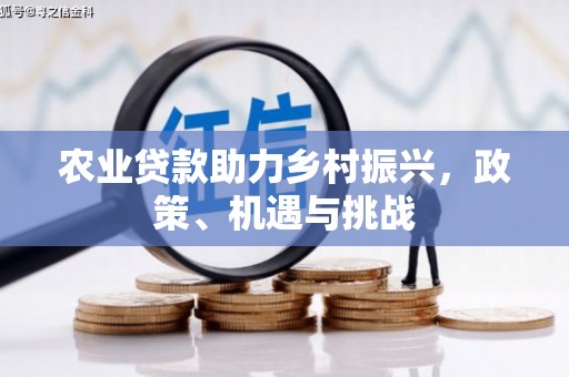 德令哈农业贷款助力乡村振兴，政策、机遇与挑战