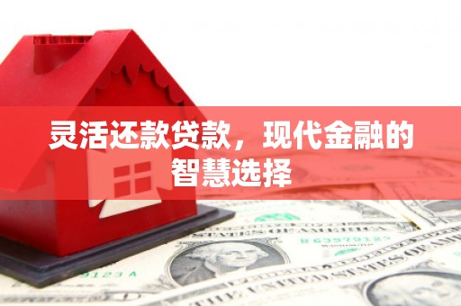 新泰灵活还款贷款，现代金融的智慧选择