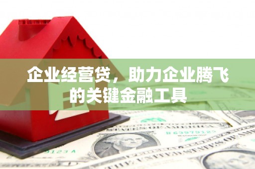 湖西企业经营贷，助力企业腾飞的关键金融工具