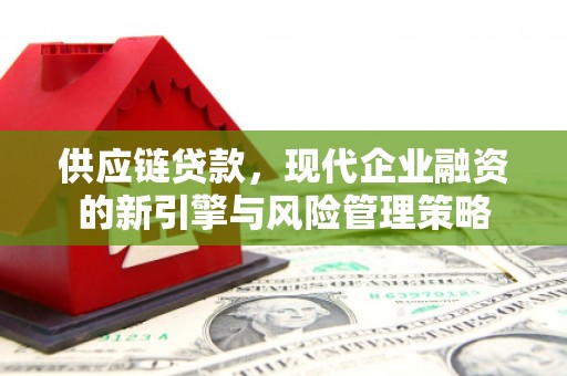 修文供应链贷款，现代企业融资的新引擎与风险管理策略