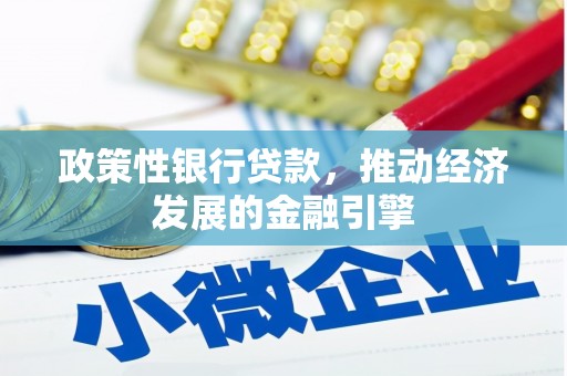 纳溪政策性银行贷款，推动经济发展的金融引擎