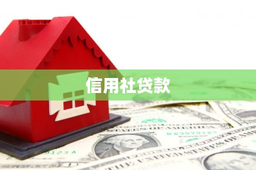 池上信用社贷款