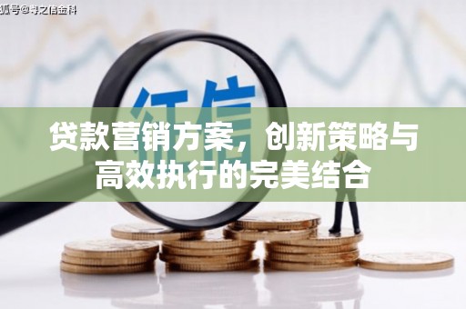 龙游贷款营销方案，创新策略与高效执行的完美结合
