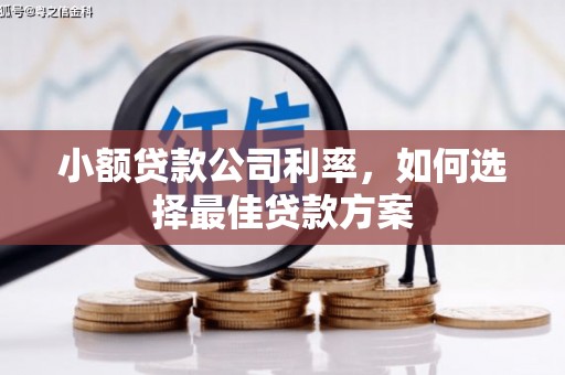 迭部小额贷款公司利率，如何选择最佳贷款方案