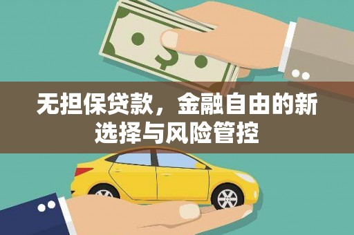 新蔡无担保贷款，金融自由的新选择与风险管控