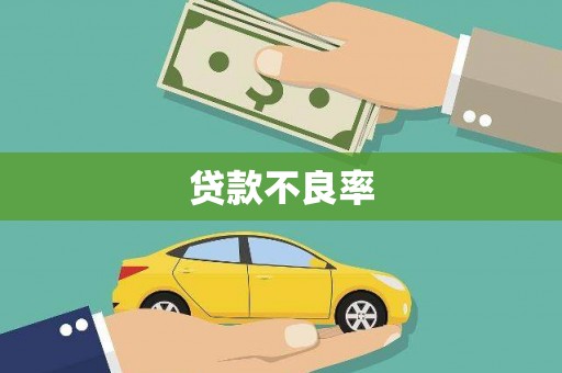 项城贷款不良率