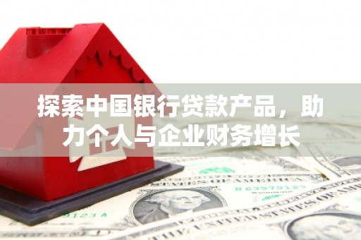 泌阳探索中国银行贷款产品，助力个人与企业财务增长