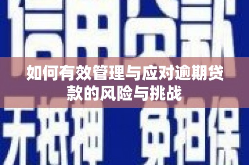 学甲如何有效管理与应对逾期贷款的风险与挑战