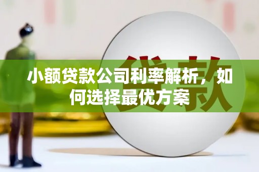 乳源小额贷款公司利率解析，如何选择最优方案
