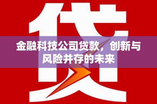 建宁金融科技公司贷款，创新与风险并存的未来