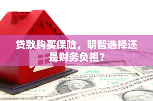 安定贷款购买保险，明智选择还是财务负担？