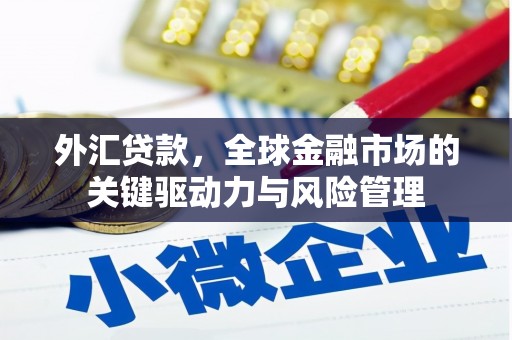 特克斯外汇贷款，全球金融市场的关键驱动力与风险管理