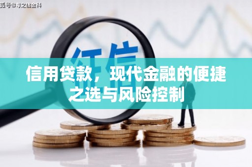 沙依巴克信用贷款，现代金融的便捷之选与风险控制