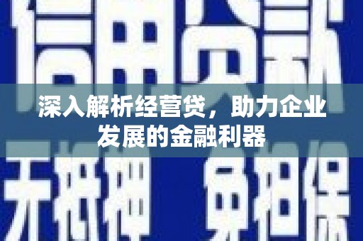 海盐深入解析经营贷，助力企业发展的金融利器