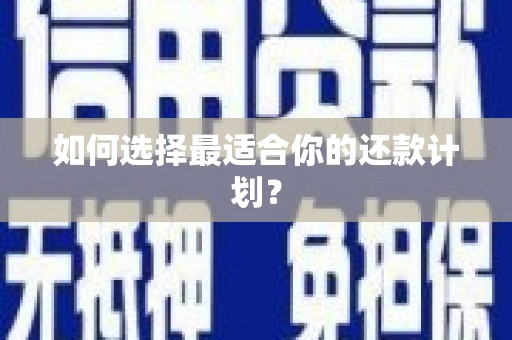 阿巴嘎旗如何选择最适合你的还款计划？