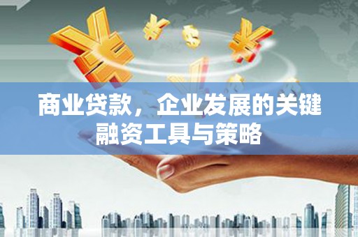 灌云商业贷款，企业发展的关键融资工具与策略
