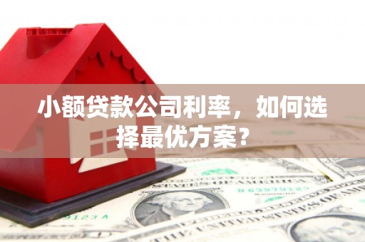 英德小额贷款公司利率，如何选择最优方案？