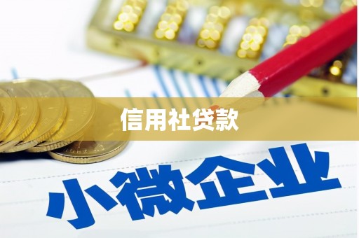九台信用社贷款