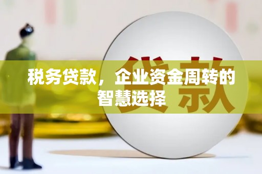 布袋税务贷款，企业资金周转的智慧选择