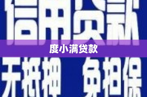 蒲江度小满贷款