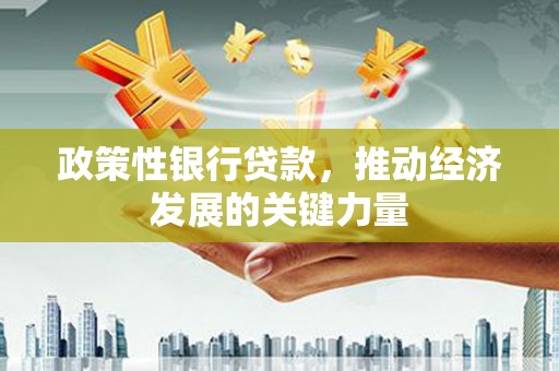 绥滨政策性银行贷款，推动经济发展的关键力量
