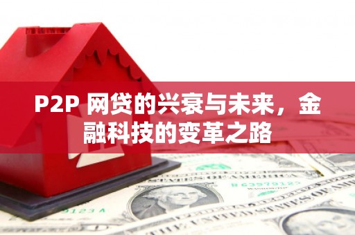 郁南P2P 网贷的兴衰与未来，金融科技的变革之路