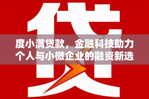 台东度小满贷款，金融科技助力个人与小微企业的融资新选择