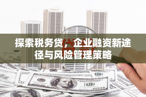 深州探索税务贷，企业融资新途径与风险管理策略