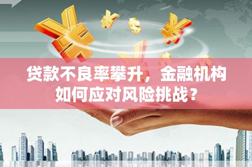 禄劝贷款不良率攀升，金融机构如何应对风险挑战？