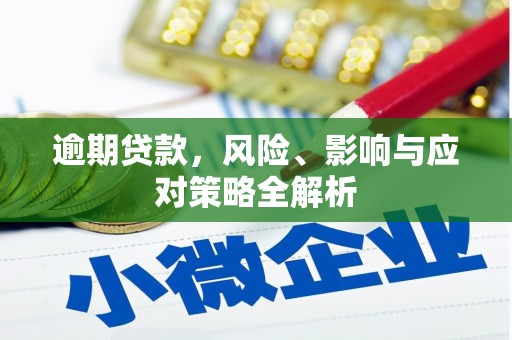 镇远逾期贷款，风险、影响与应对策略全解析