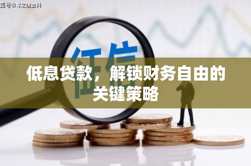 东坡低息贷款，解锁财务自由的关键策略