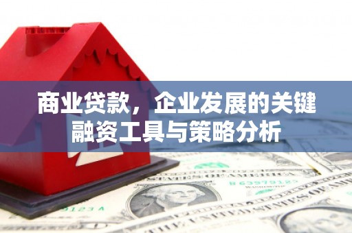 虞城商业贷款，企业发展的关键融资工具与策略分析