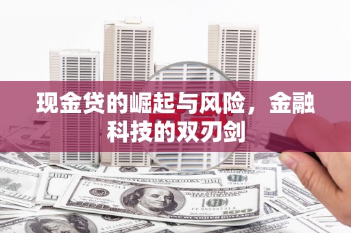 嫩江现金贷的崛起与风险，金融科技的双刃剑