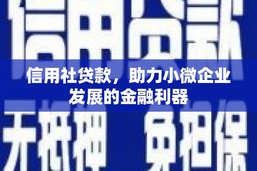 新宾信用社贷款，助力小微企业发展的金融利器