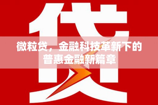 德清微粒贷，金融科技革新下的普惠金融新篇章