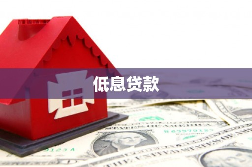比如低息贷款