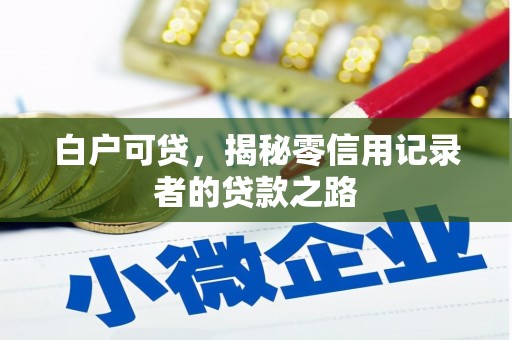 瑞穗白户可贷，揭秘零信用记录者的贷款之路
