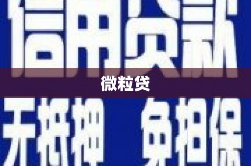 龙文微粒贷