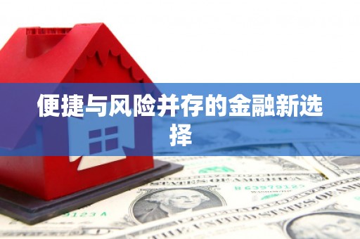 徐水便捷与风险并存的金融新选择