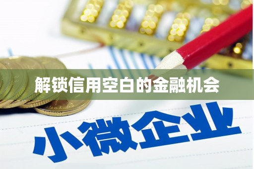 金平解锁信用空白的金融机会