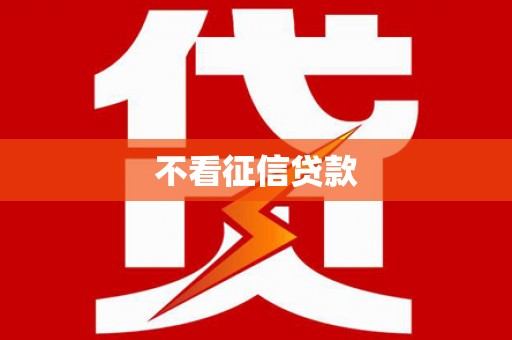 陆川不看征信贷款