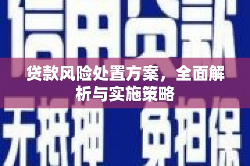 高淳贷款风险处置方案，全面解析与实施策略