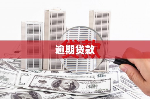如皋逾期贷款