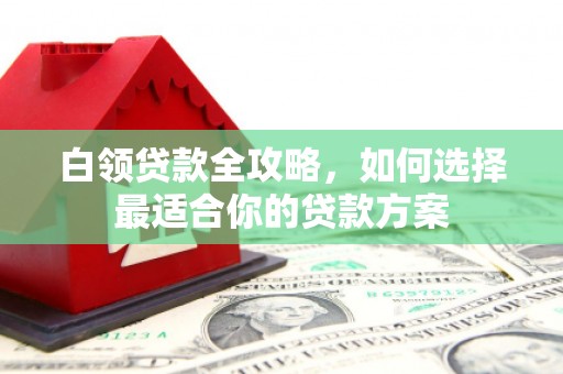 延川白领贷款全攻略，如何选择最适合你的贷款方案
