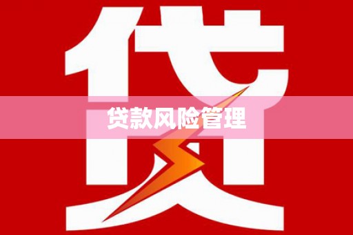 朔城贷款风险管理