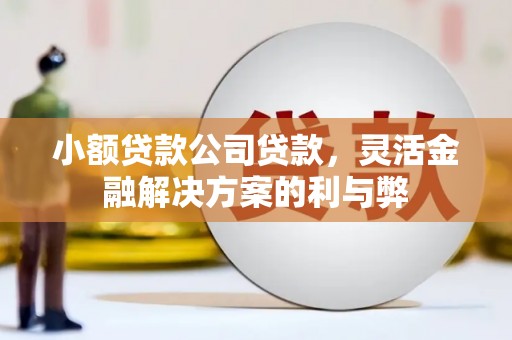 斗门小额贷款公司贷款，灵活金融解决方案的利与弊