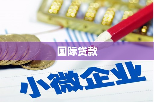 东明国际贷款